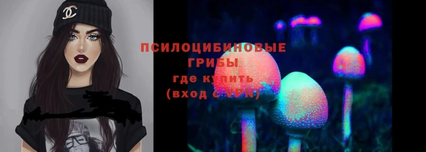 гидра Алексин