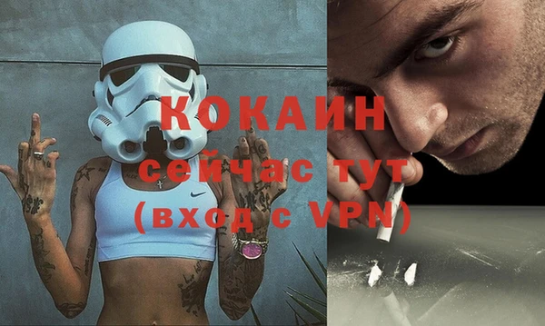 гидра Алексин